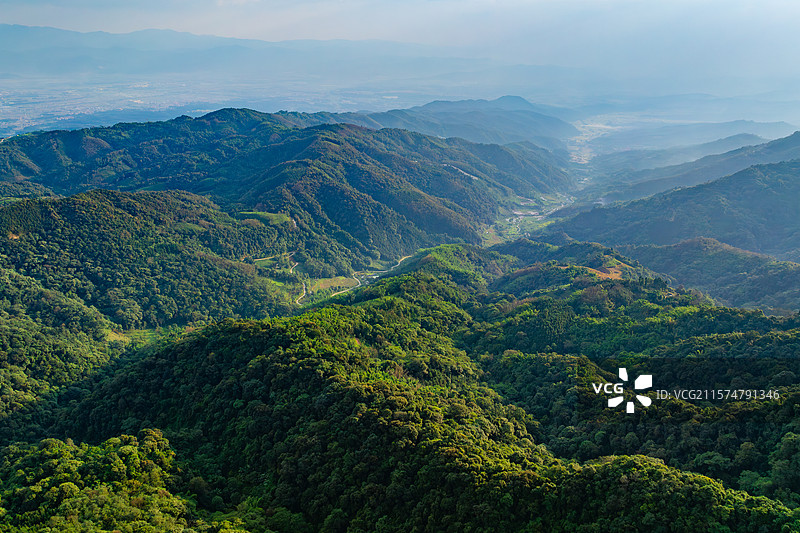 云南德宏芒市轩岗乡芒杏河保护地/中缅灰叶猴/菲氏叶猴栖息地图片素材
