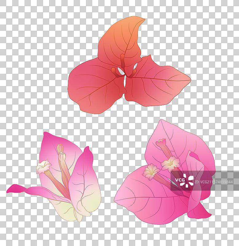 免扣元素粉色红色三角梅图片素材