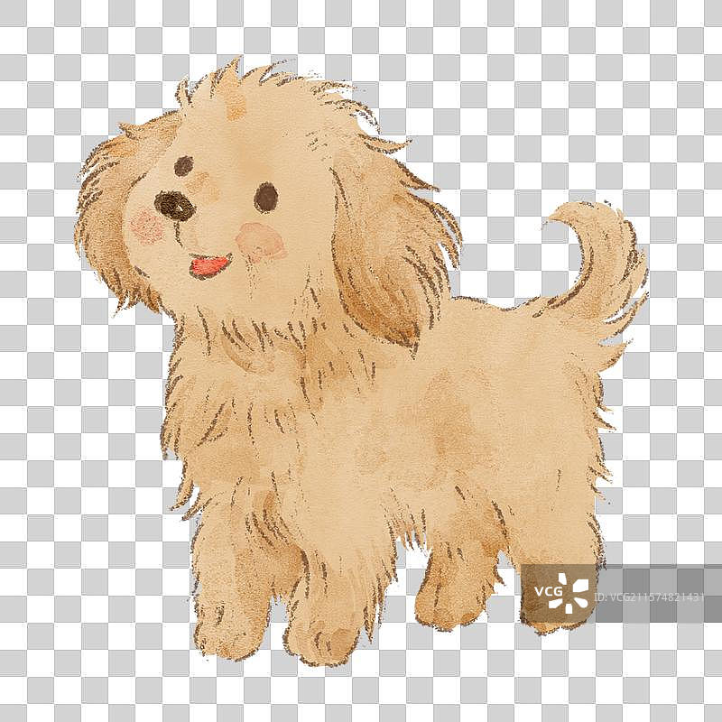 小狗狗图片素材