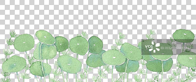 水彩插画元素 手绘荷叶 手绘铜钱草图片素材