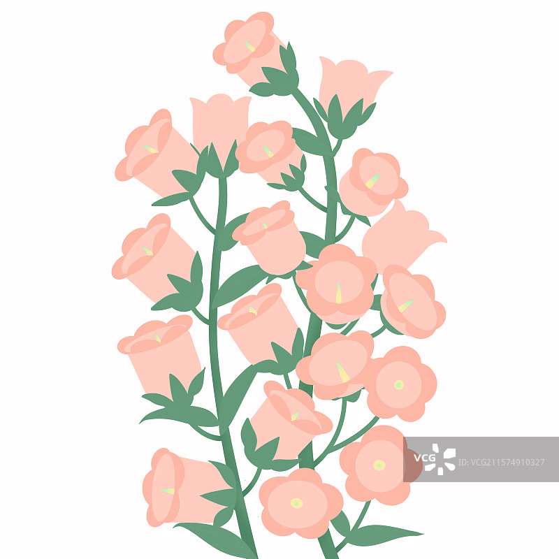 手绘风铃花插画图片素材