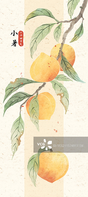 小暑桃子国风节气插画图片素材