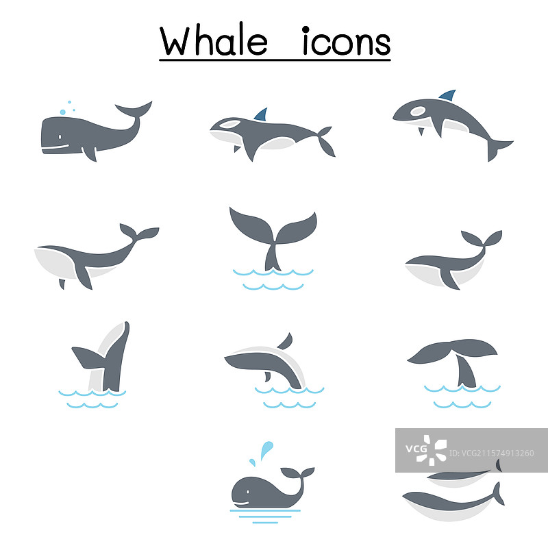 平面色彩风格的鲸鱼图标集图片素材