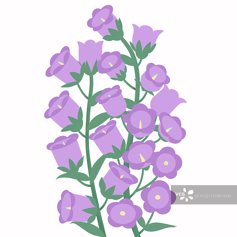 手绘紫色风铃花插画图片素材