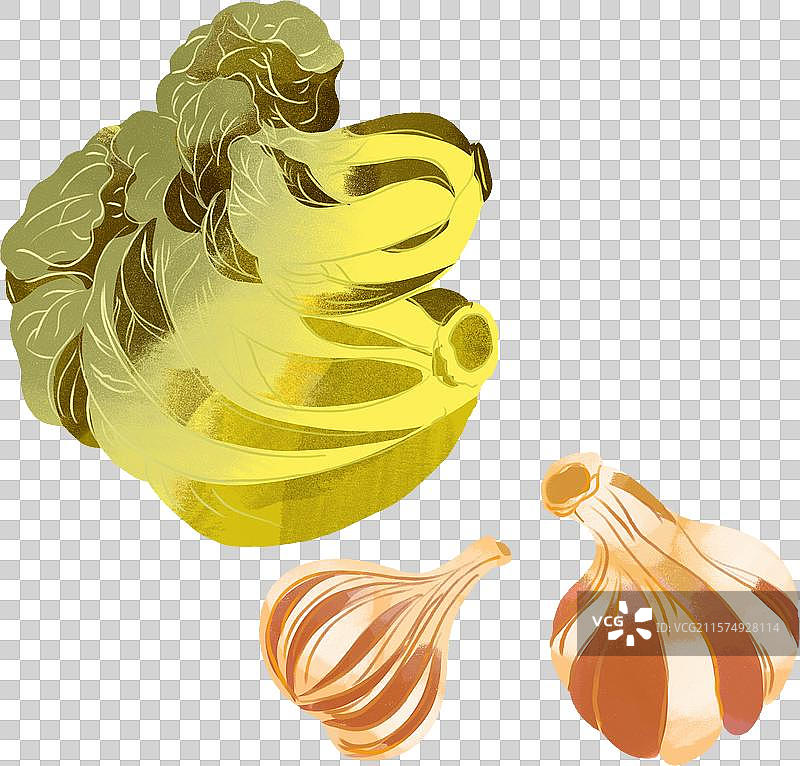 酸菜泡菜腌菜酸白菜泡大白菜泡蒜糖蒜冬季腊八蒜手绘插画图片素材