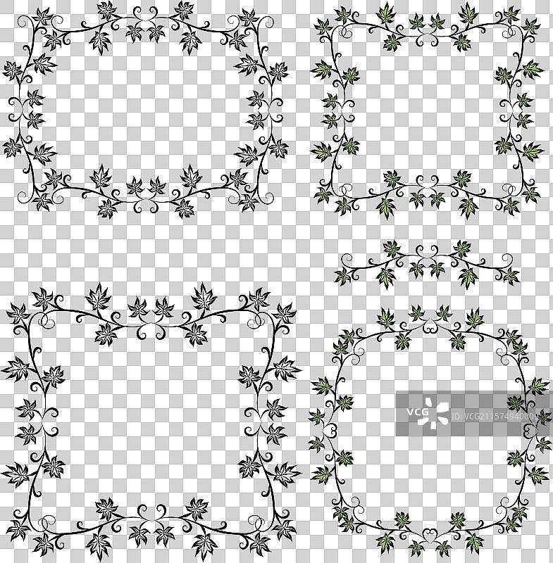 带有卷曲葡萄叶的装饰框架图片素材