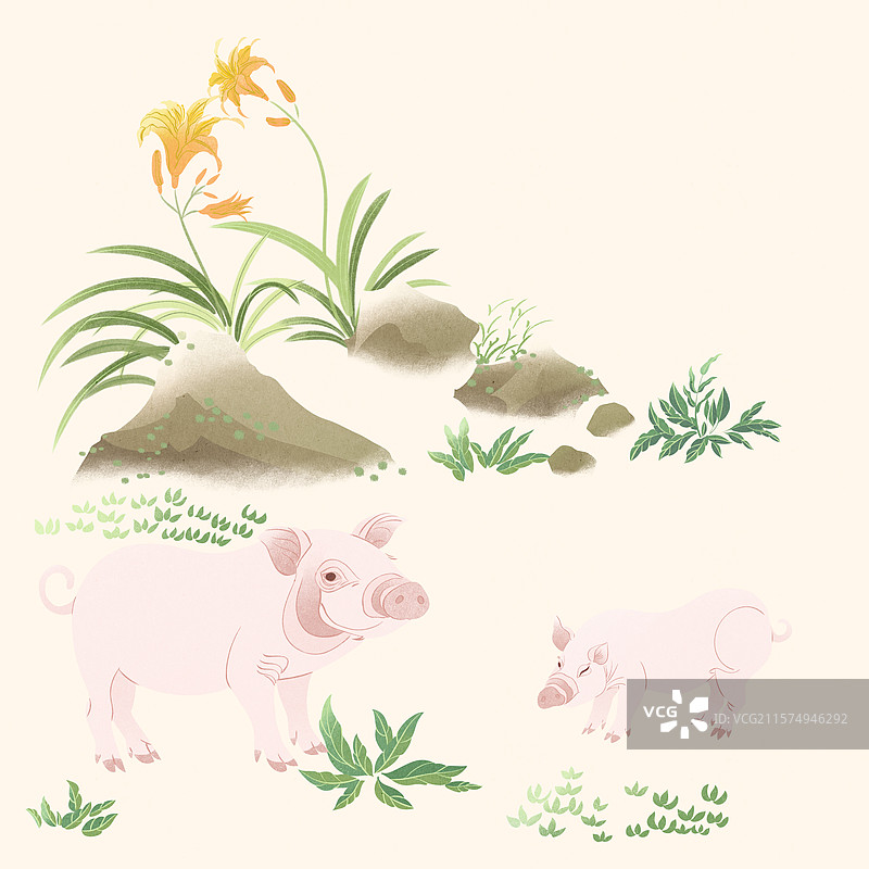 十二生肖亥猪猪年土猪山石萱草花夏至大暑小暑节气草地土猪肉土特产包装国风国潮手绘插画图片素材