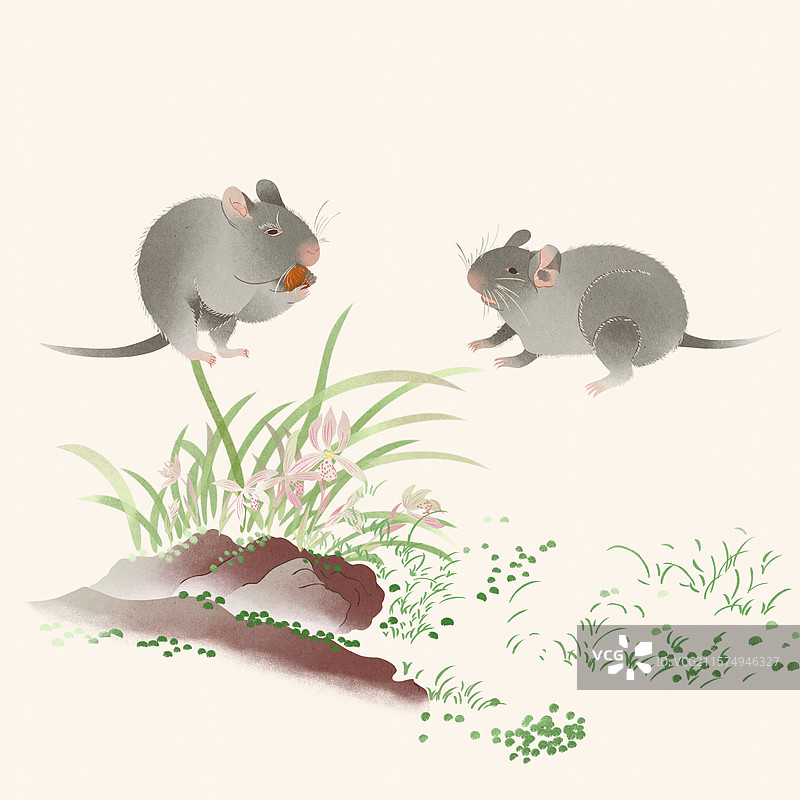 十二生肖子鼠鼠年老鼠吃坚果山石兰花春兰立春雨水惊蛰国风国潮手绘插画图片素材
