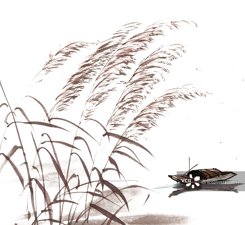 芦苇荡里的船图片素材