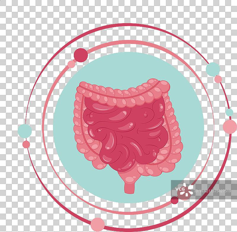 肠道图标图片素材