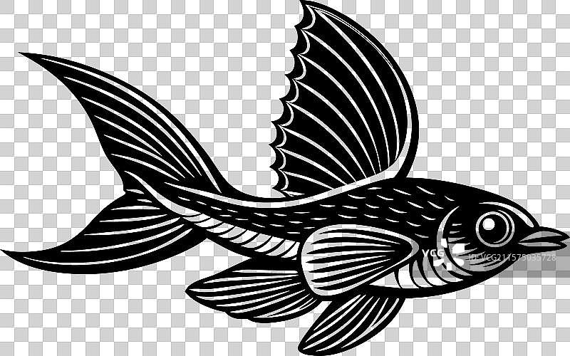 飞鱼的版画图片素材