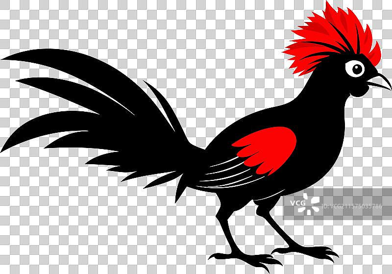 红冠蓝鹂图片素材