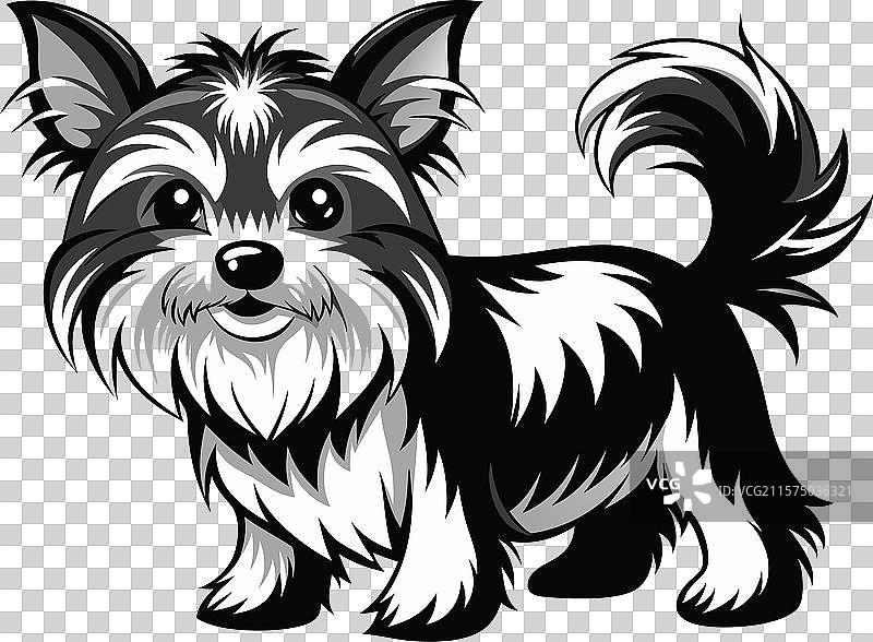 约克夏犬 b图片素材