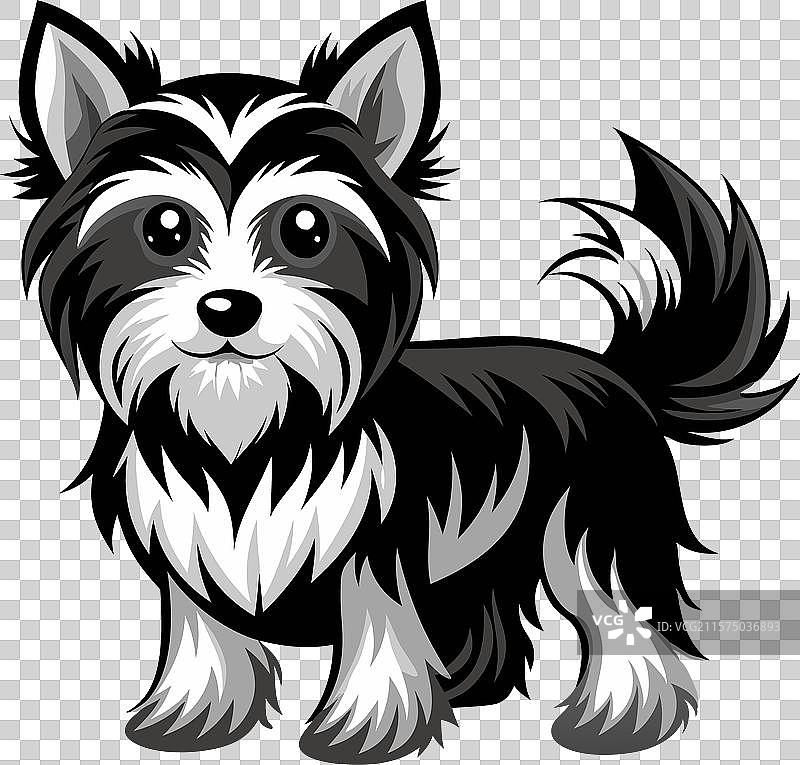 约克夏犬 h图片素材