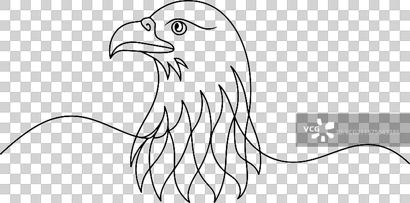 白色背景上的鹰头连续线条艺术图片素材