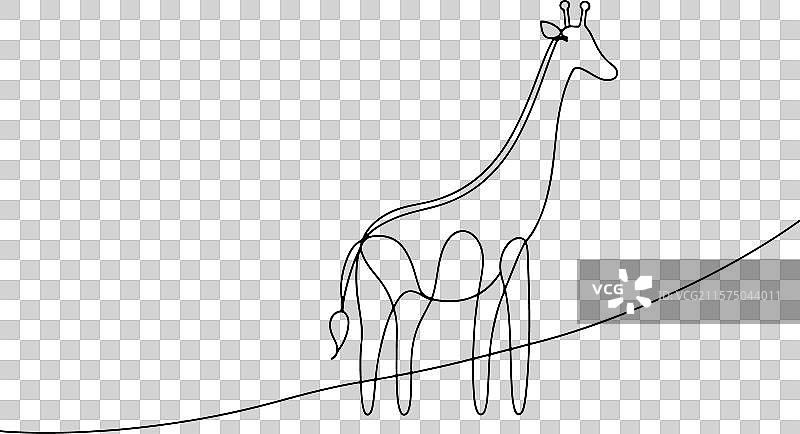 白色背景上的长颈鹿连续线条艺术图片素材