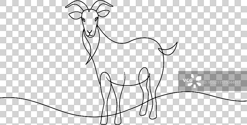 白色背景上的山羊连续线条艺术图片素材