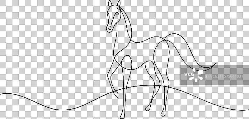 白色背景上的马的连续线条艺术图片素材