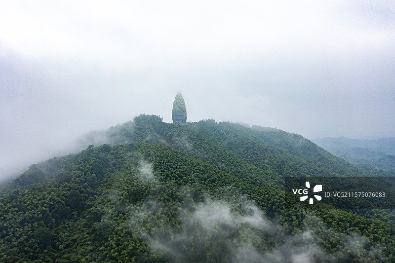 航拍湖南桃江桃花江竹海风光图片素材