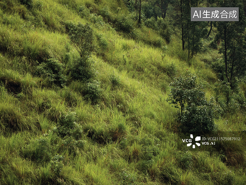 【AI数字艺术】山坡上层叠起伏的草地植被图片素材