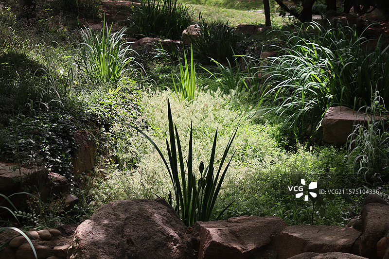 百花苑图片素材