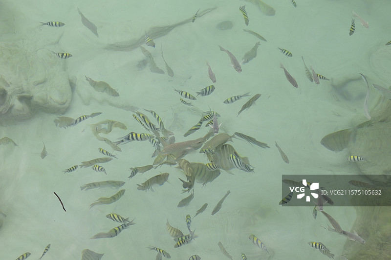 小停泊岛图片素材