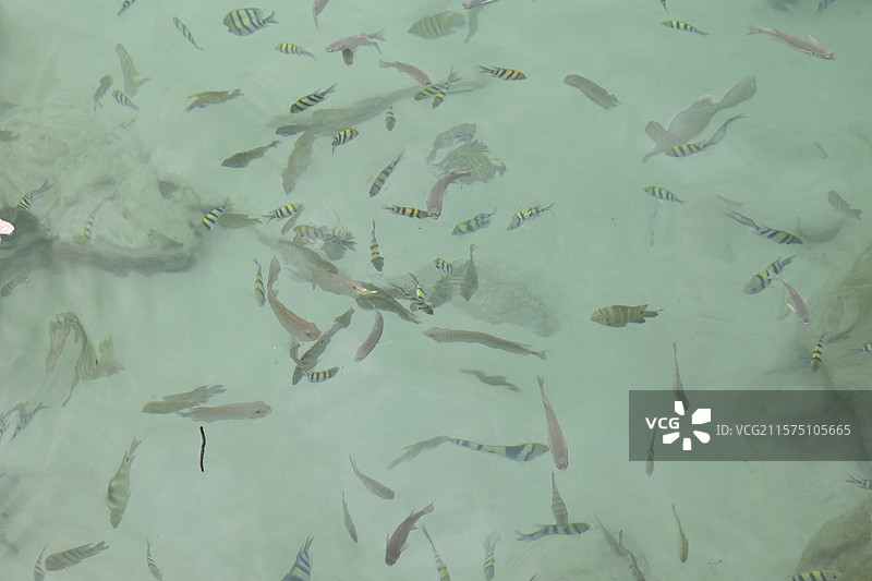 小停泊岛图片素材