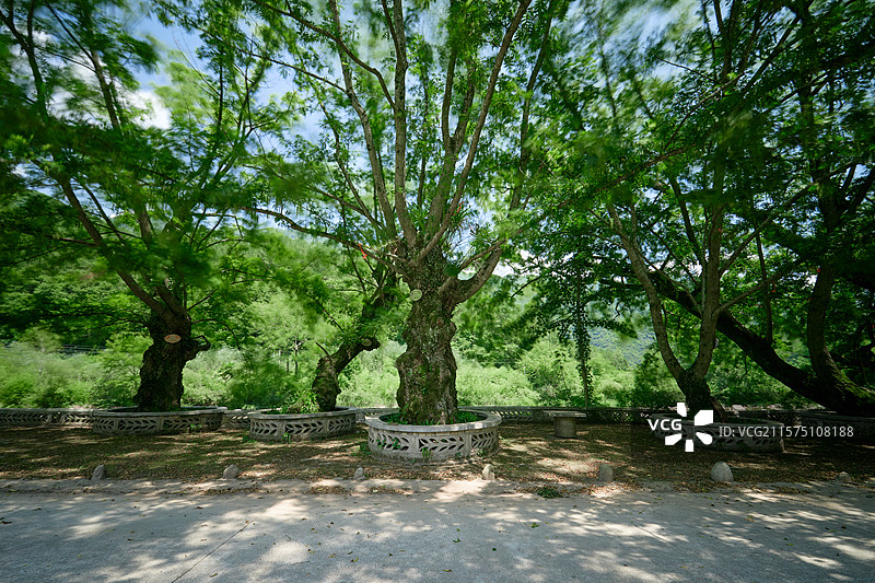 陕西旅游汉中洋县长青华阳景区华阳古镇秦岭四宝栖息地图片素材