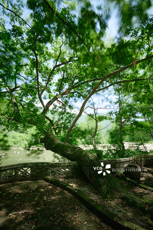 陕西旅游汉中洋县长青华阳景区华阳古镇秦岭四宝栖息地图片素材