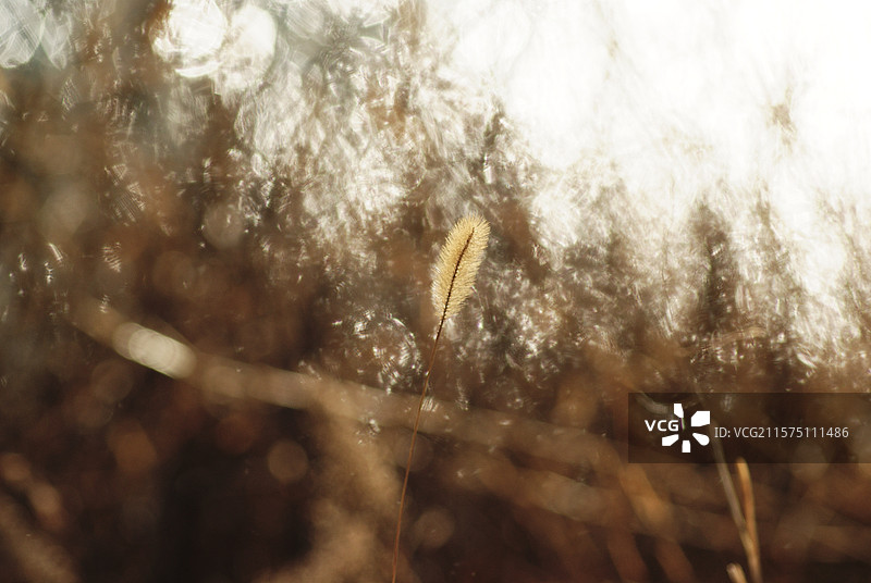 大连星海广场图片素材