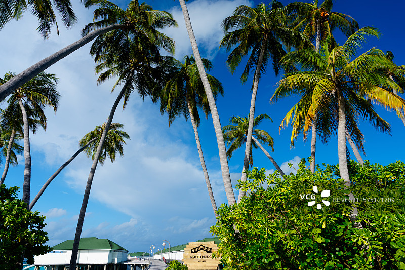 马尔代夫海岛风光图片素材