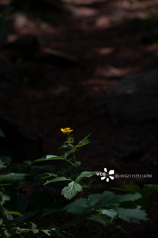 辽宁“小天池”盖州夹皮沟图片素材