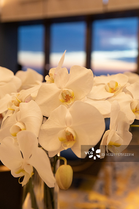 沈阳康莱德酒店88楼图片素材