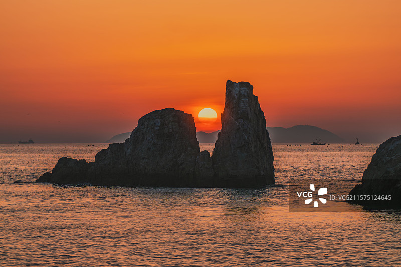 金鸡报晓图片素材