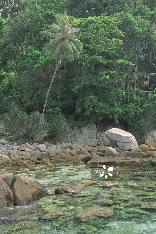 清澈见底图片素材