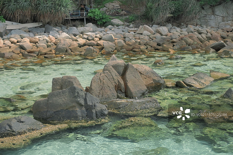 清澈见底图片素材