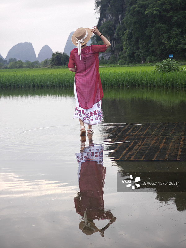 桂林市临桂区会仙玻璃田景区图片素材