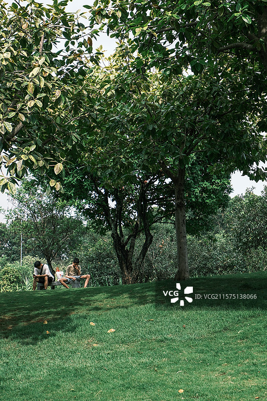 广州海珠儿童公园图片素材