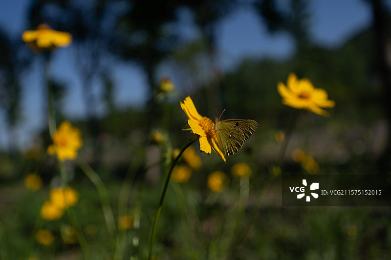 襄阳谷城县堰河乡村旅游区绿化图片素材