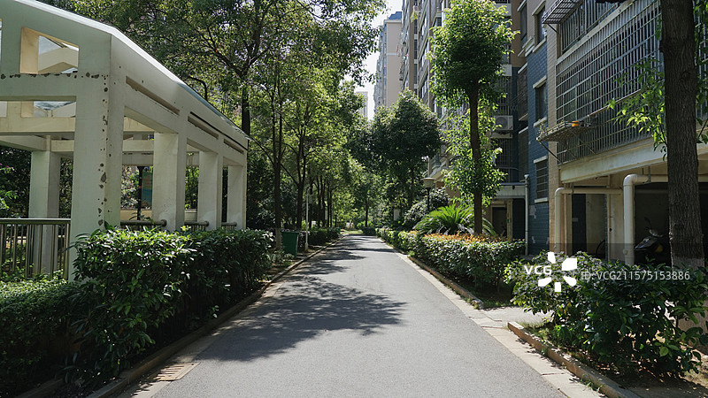 常德小区绿化图片素材