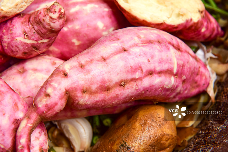 红苕红薯图片素材