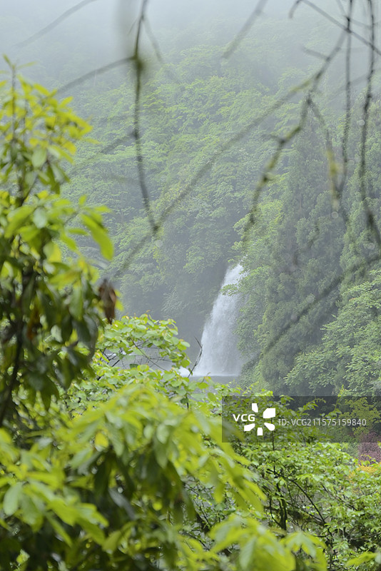 龙苍沟 叠翠溪 龙苍沟国家森林公园 云雾山林间的瀑布剪影 自然景观、瀑布、山林、云雾、意境、治愈、户图片素材