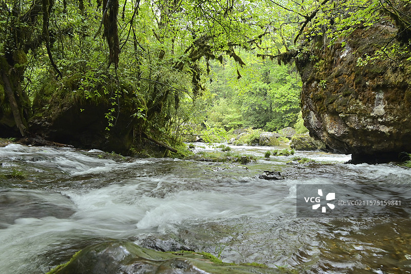 龙苍沟 叠翠溪 龙苍沟国家森林公园 森林峡谷中的湍急溪流 湍急溪流、森林峡谷、岩石、绿植、自然景观、图片素材