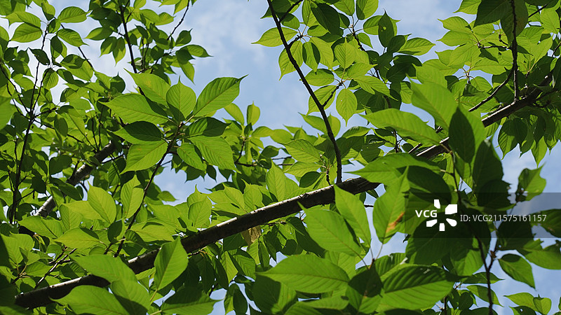 常德滨湖公园天空景观图片素材