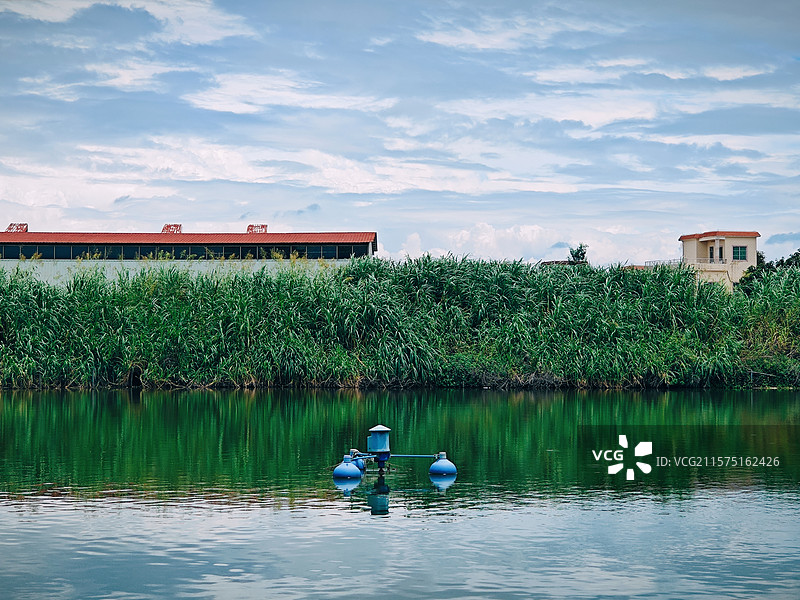 鱼塘图片素材