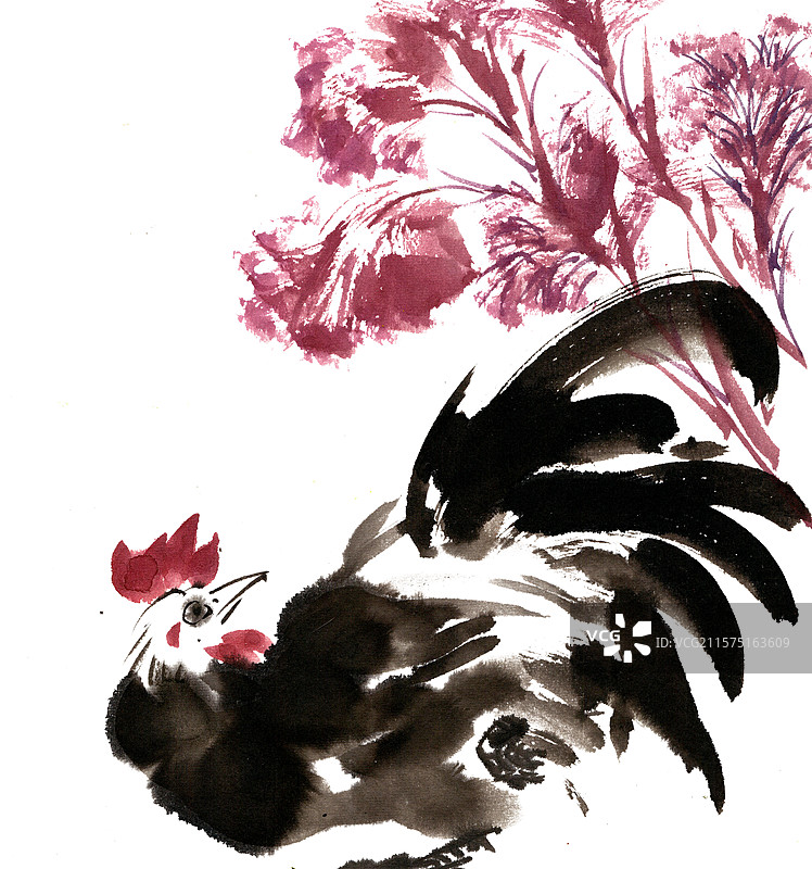 公鸡和鸡冠花图片素材
