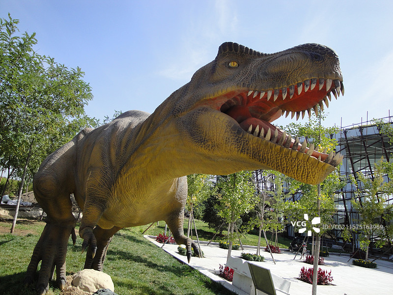 朝阳低质公园旧照图片素材