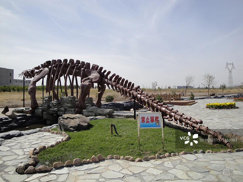 朝阳低质公园旧照图片素材