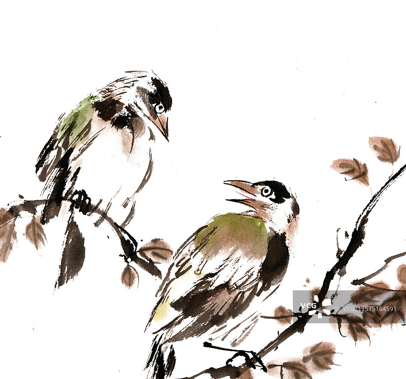 两只小鸟图片素材