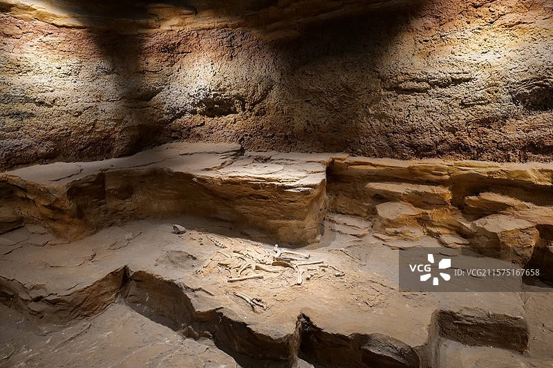 慈母龙 国家自然博物馆恐龙公园厅图片素材